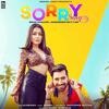 Sorry Song - Neha Kakkar Poster