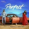  Perfect - Badshah Poster