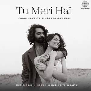 Tu Meri Hai Song Poster