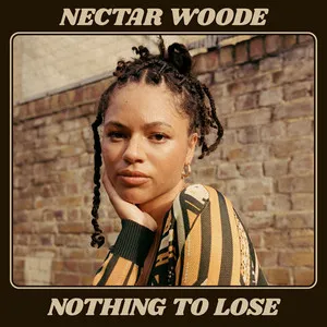  Nothing To Lose Song Poster